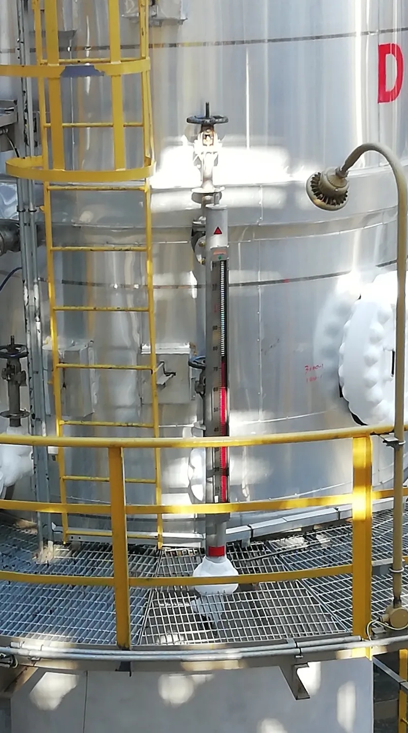 1643267826447521.jpg 640.webp.jpg