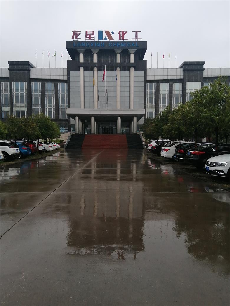 重庆龙星化工股份有限公司