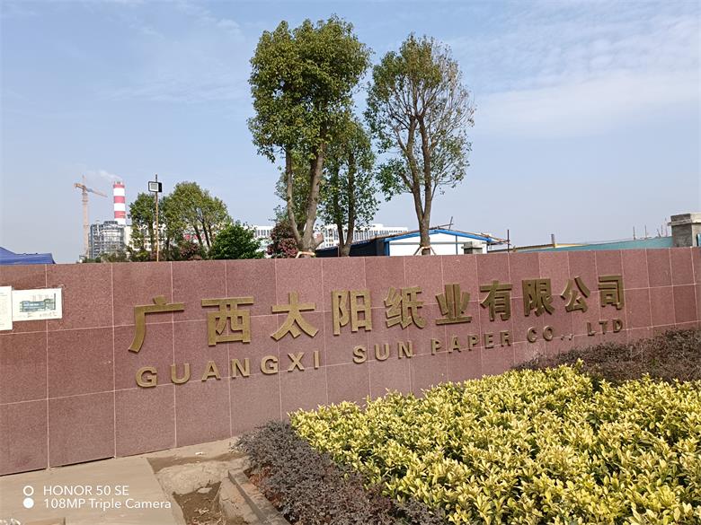 江西广西太阳纸业有限公司