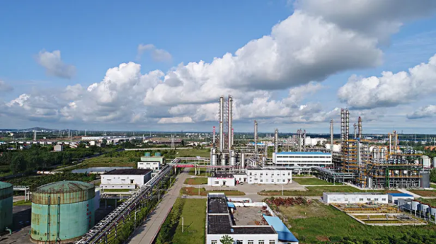 1650593369864356.jpg 1650588987(1).jpg