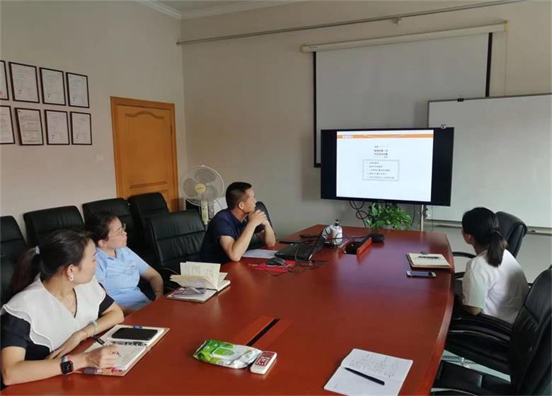 海南【内审之声】促进斯克维思内审高质量发展